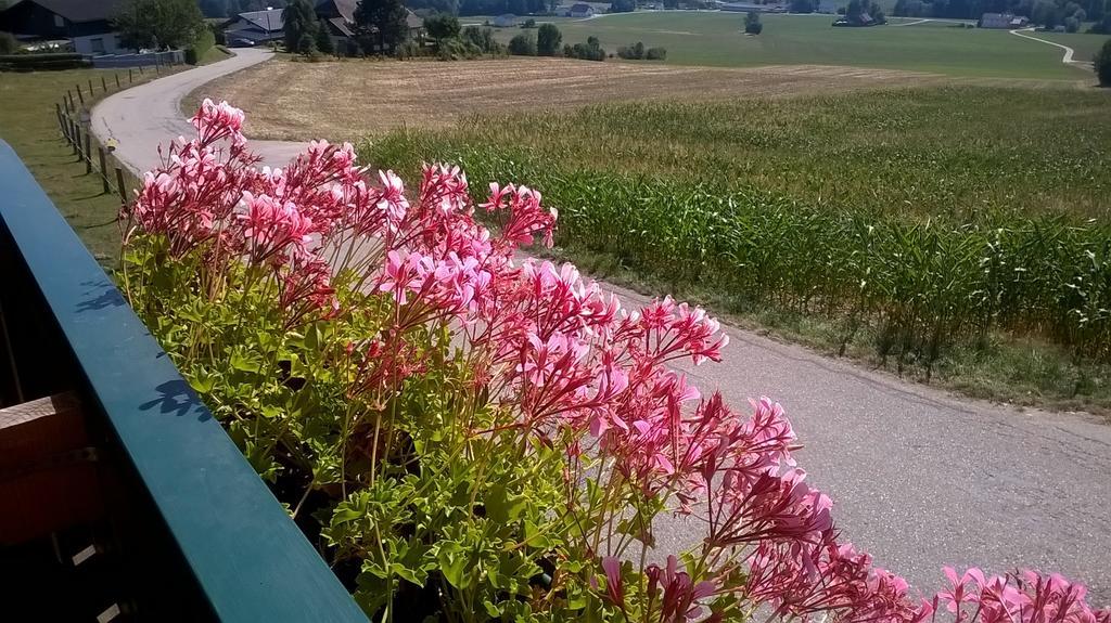 Landhotel Sonnenhof Motorradkrauk Ulrichsberg Luaran gambar